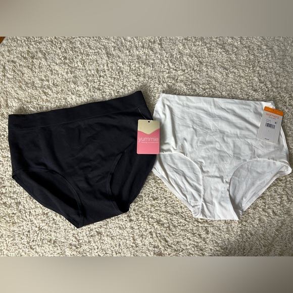 Women’s Bundle of 2 Large High Waisted Brief Underwear NWT - Picture 1 of 11